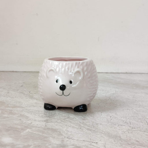 Happy hedgehog ceramic planter for succulents and small indoor plants