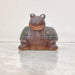 Happy turtle ceramic planter for succulents and small indoor plants
