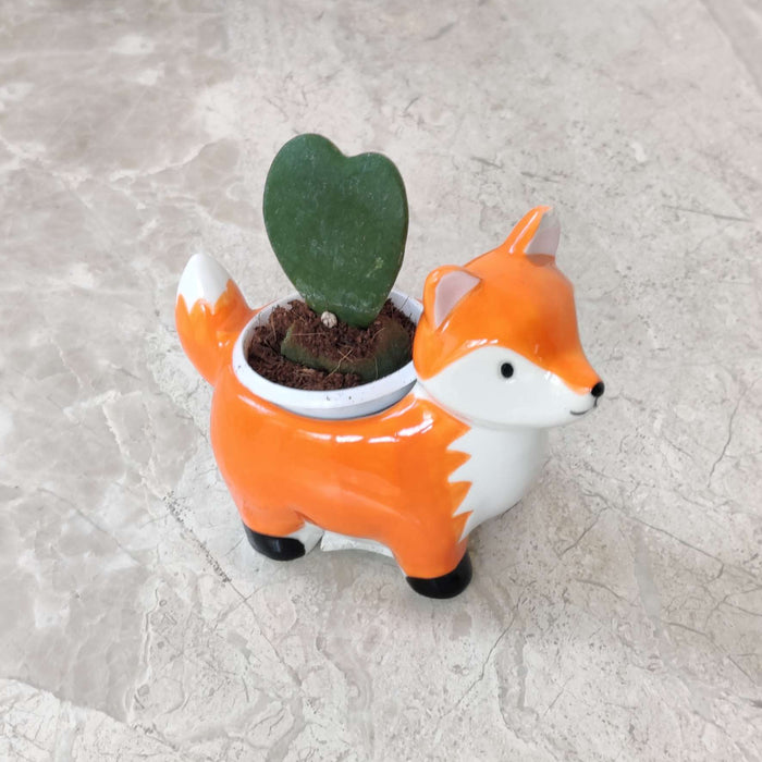 Charming fox ceramic planter for succulents and small indoor plants.