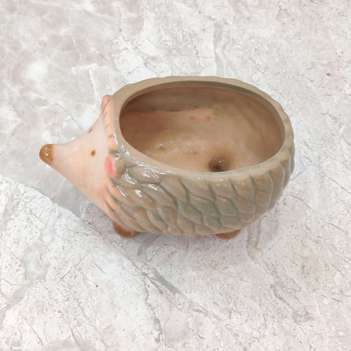 Cute baby hedgehog ceramic planter for home and office decor