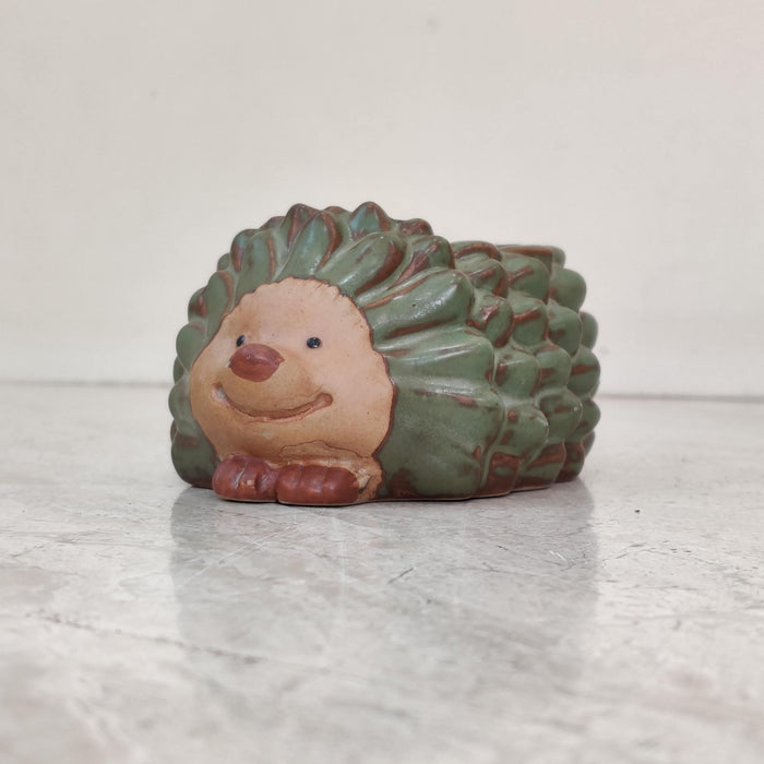 Cute hedgehog ceramic planter for succulents and small indoor plants