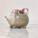 Premium smiling hedgehog ceramic planter