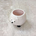 Premium happy hedgehog ceramic planter ideal for succulents and air plants