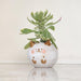 Highland Cow Indoor Plant Pot