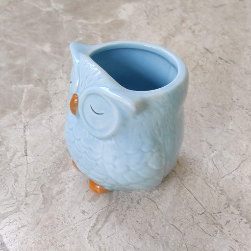 Light blue owl ceramic planter for home and office decor