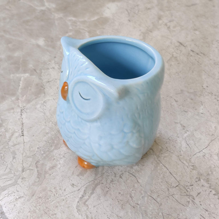 Light blue owl ceramic planter for home and office decor