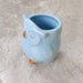 Light blue owl ceramic planter for home and office decor