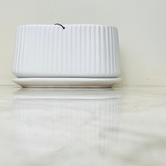White Ribbed Rectangular Ceramic Planter | Modern Herb Plant Pot ...