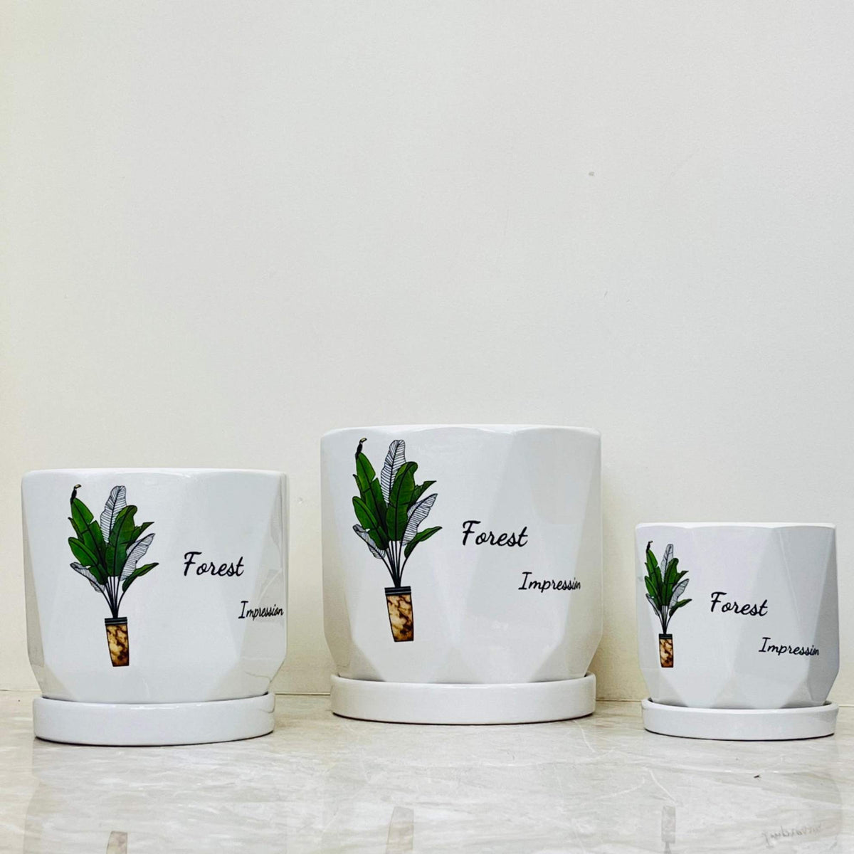 Set of 3 Modern White Ceramic Planters - Forest Impression Design ...