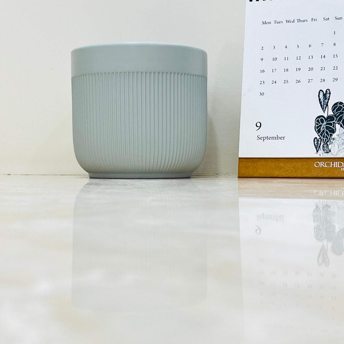 Buy Gray Ribbed Ceramic Planter – Modern Indoor Plant Pot ...