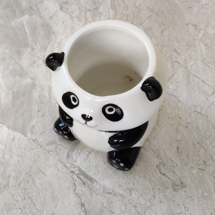 Panda Ceramic Pot for Succulents