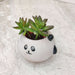 Premium panda ceramic planter ideal for succulents and air plants
