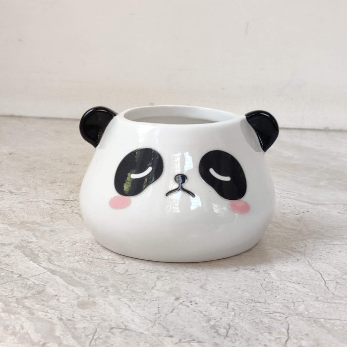 Premium cheeky panda face ceramic planter ideal for succulents and air plants