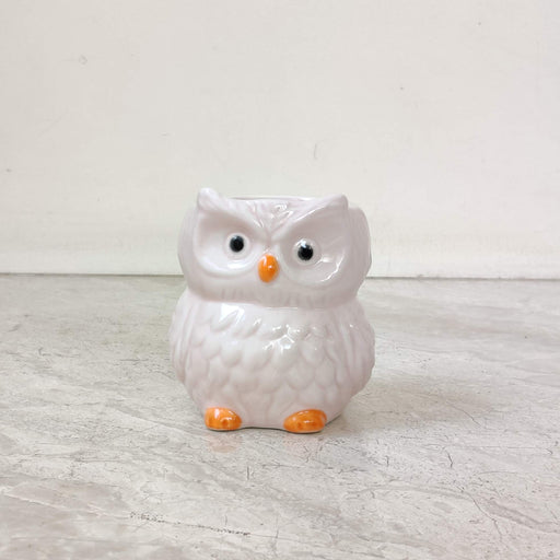 Pearl white owl ceramic planter for succulents and small indoor plants