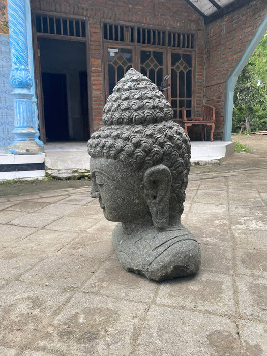 BUDDHA HEAD