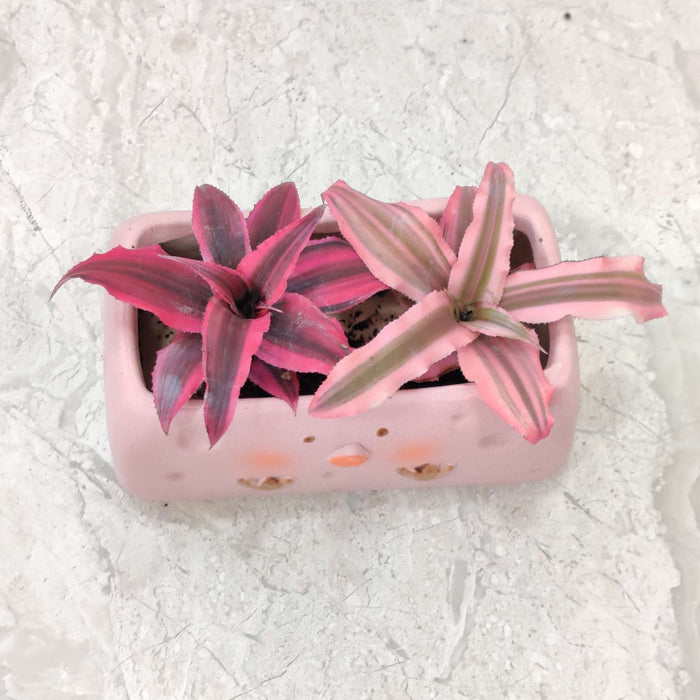 Pink chick ceramic planter for succulents and small indoor plants