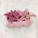 Pink chick ceramic planter for succulents and small indoor plants