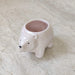 Premium polar bear ceramic planter ideal for succulents and air plants