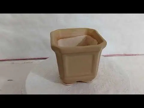 Modern and Fancy Ceramic Pot - Office Desk Plant