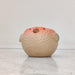 Puffer Fish Ceramic Planter