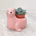 Premium seal ceramic planter ideal for succulents and air plants