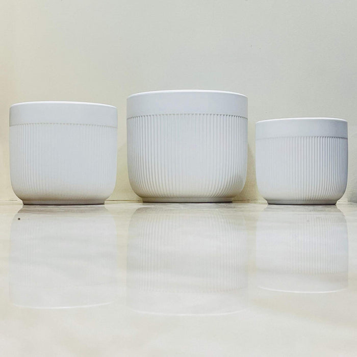 Sleek ribbed white ceramic pots for home decoration