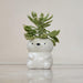 Premium sleepy sloth ceramic planter ideal for succulents and air plants
