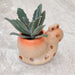 Snail Ceramic Pot for Succulents