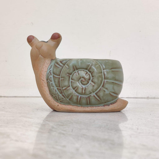 Decorative snail ceramic planter for home and office decor