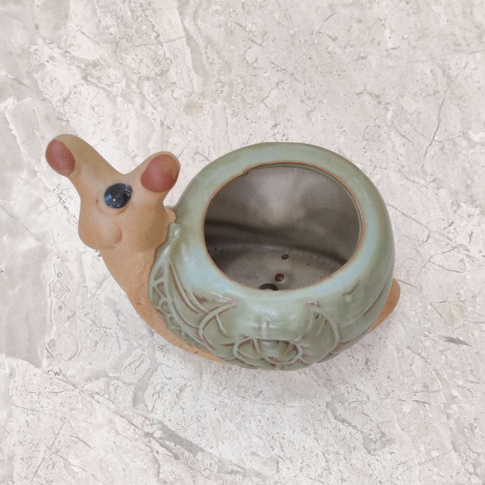 Premium spiral snail ceramic planter ideal for succulents and air plants