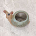 Premium spiral snail ceramic planter ideal for succulents and air plants