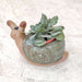 spiral-snail-ceramic-planter-indoor-plant-pot