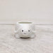 Tiny turtle ceramic planter for succulents and small indoor plants