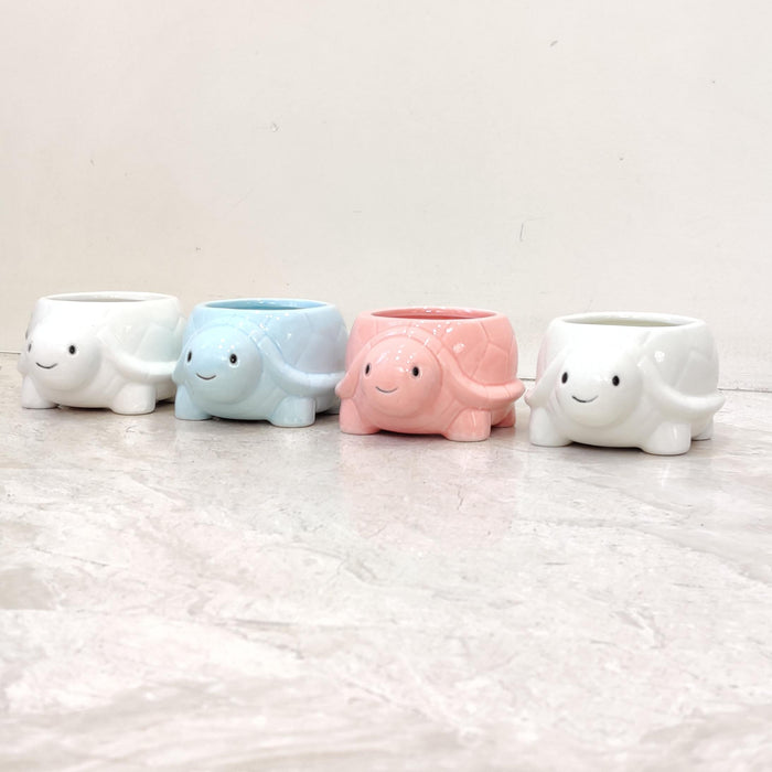 Tiny turtle ceramic planter for succulents