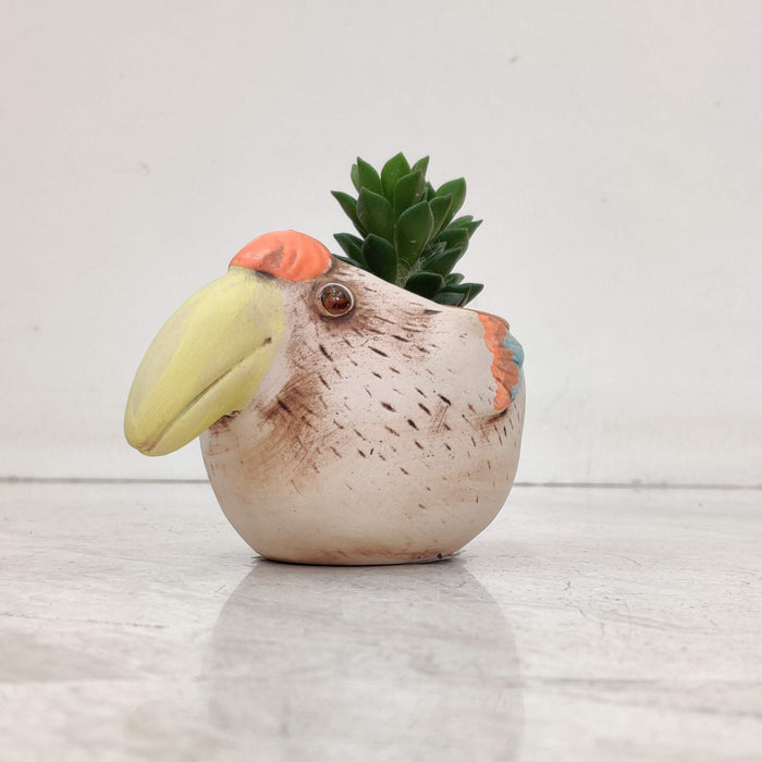 Toucan Bird Ceramic Planter