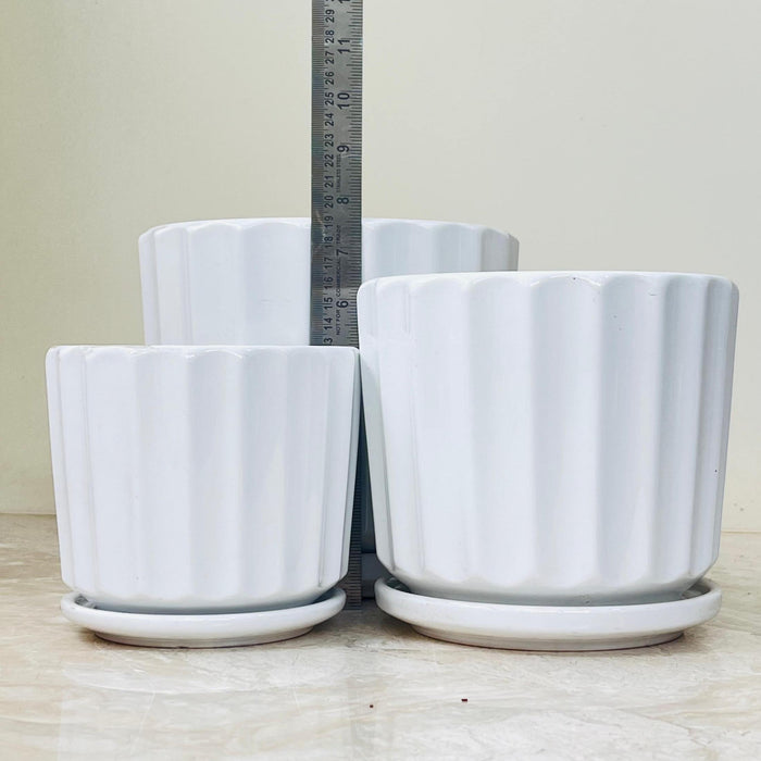 Textured Ribbed Ceramic Pot Set of 3 White Ribbed Ceramic Pots | Classic Indoor Planters with ...