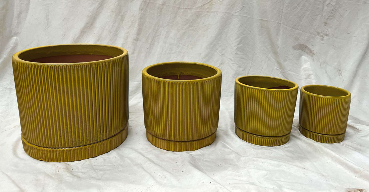 Vibrant Yellow Ribbed Ceramic Pots for Indoors & Outdoors ...