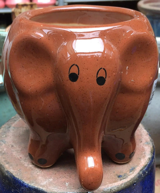 Captivating Brown Elephant Ceramic Planter 