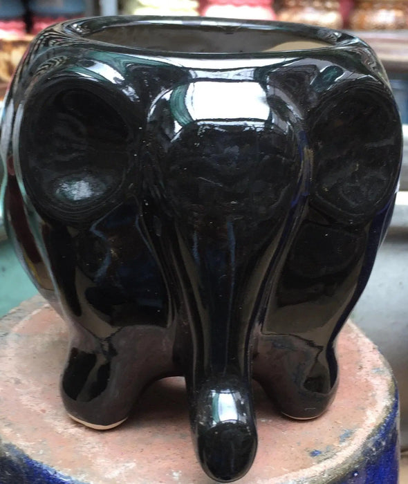 Sleek Black Elephant Ceramic Planter - Front View