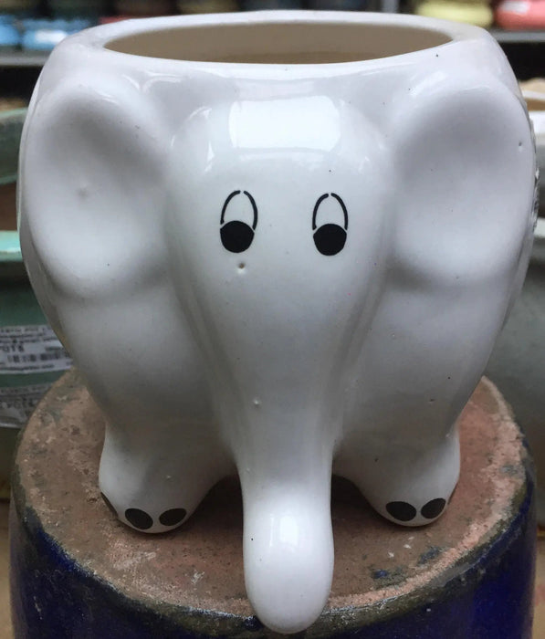 Grey Elephant Ceramic Planter - Modern Home Decor