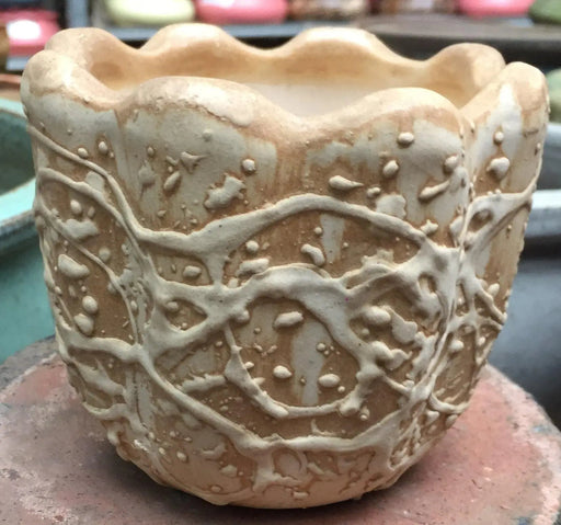 ShimlaMirch Ceramic Planter Set