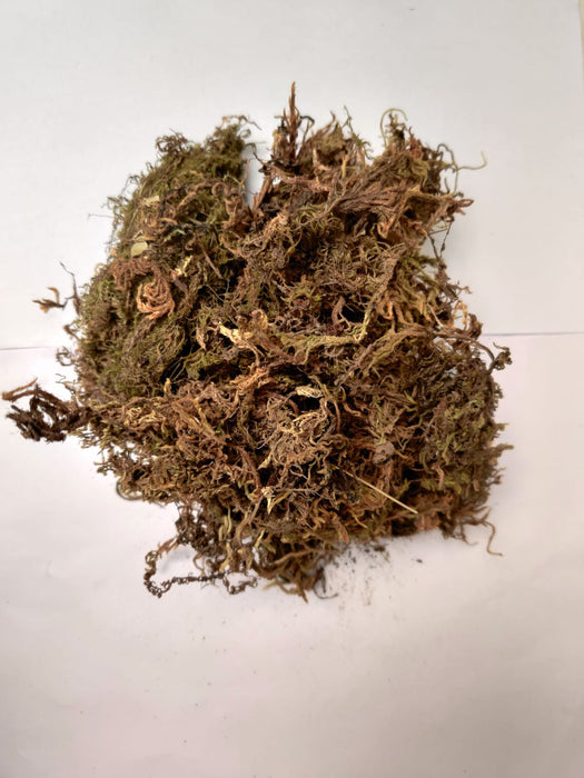 1 Kg Sphagnum Moss Online in India