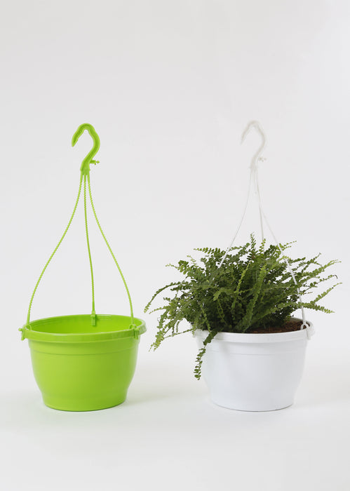 Plastic Hanging Baskets | Hanging Plant Shelf | ChhajedGarden