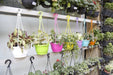 Hanging Plant Plastic Pots | 10 Inch Hanging Pot Orange | ChhajedGarden