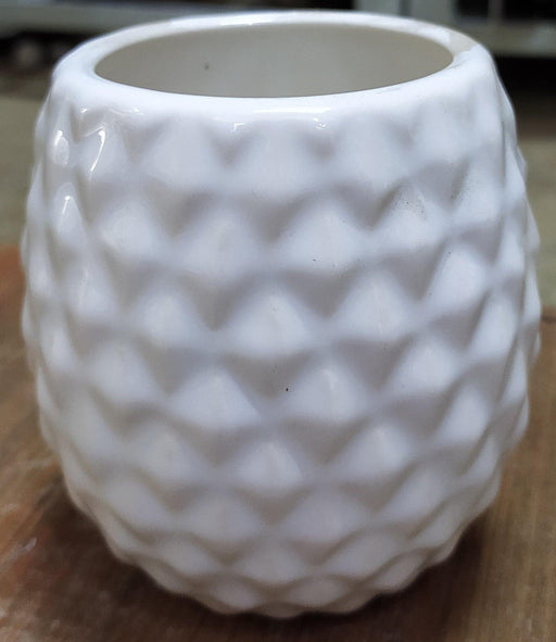 Modern pineapple shape ceramic pot in small size for indoor plants
