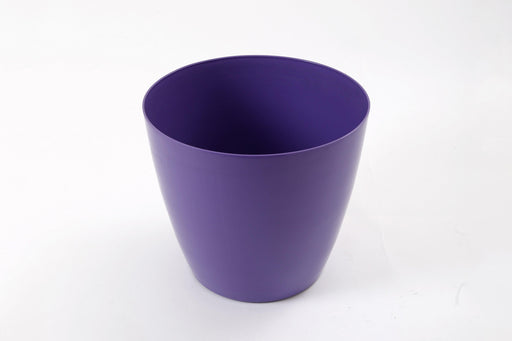 11 Inch Violet Singapore Pot (Pack of 12) - CGASPL