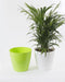 13 Inch Planter Pot | Green planter Pot | Chhajed Garden