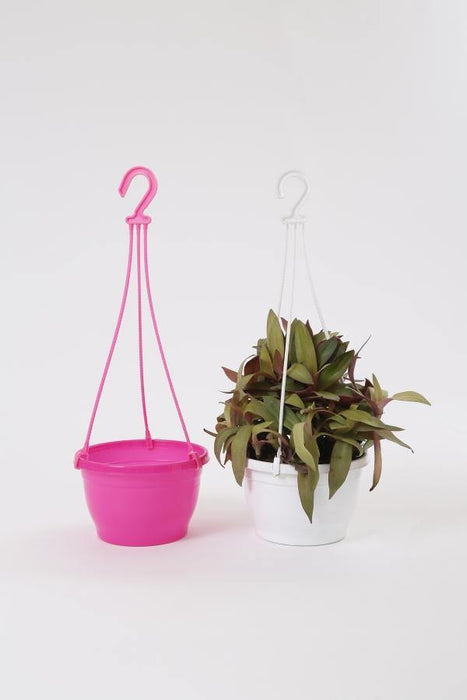 7 Inch Hanging Pot Pink (Pack of 12) - CGASPL