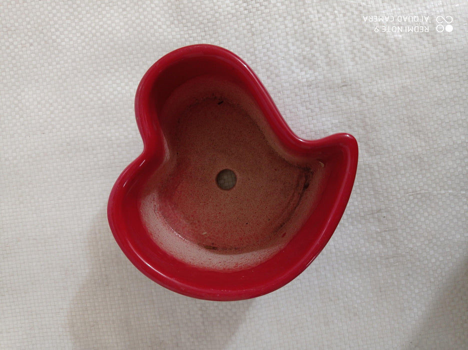 Set of 6 contemporary red heart mini ceramic pots