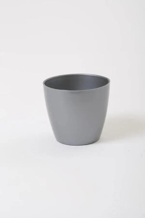 2.5 Inch Gray Singapore Pot (Pack of 12) - CGASPL
